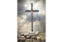 Samolepka na dvere 6509